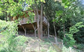 La Cabane aux Sapins