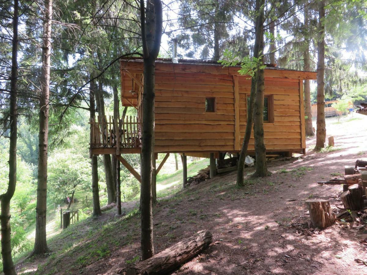 La Cabane aux Sapins Ratieres Extérieur photo