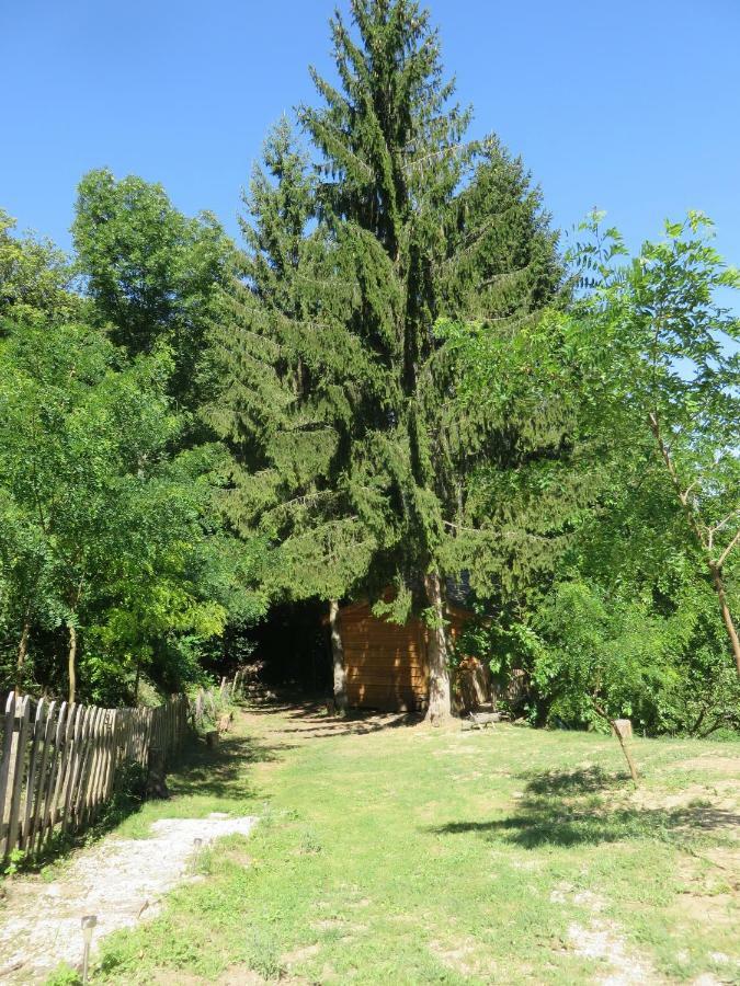 La Cabane aux Sapins Ratieres Extérieur photo